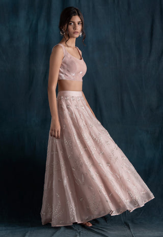 Lavanya Ahuja-Blush Organza & Velvet Lehenga Set-INDIASPOPUP.COM