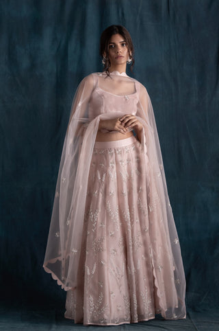 Lavanya Ahuja-Blush Organza & Velvet Lehenga Set-INDIASPOPUP.COM