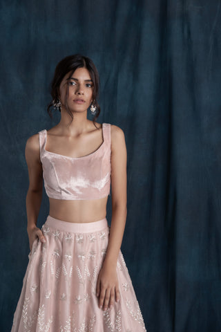 Lavanya Ahuja-Blush Organza & Velvet Lehenga Set-INDIASPOPUP.COM