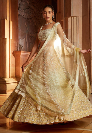 Nitika Gujral-Triple Color Organza Lehenga Set-INDIASPOPUP.COM