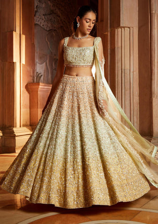 Nitika Gujral-Triple Color Organza Lehenga Set-INDIASPOPUP.COM