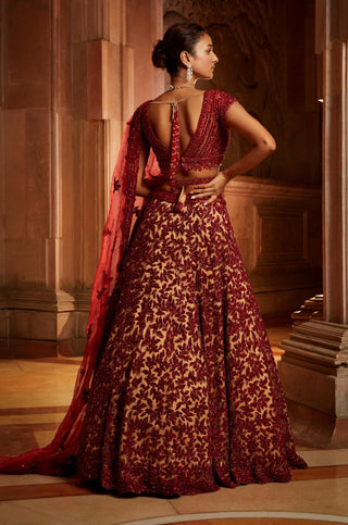 Nitika Gujral-Red Nude Lehenga Set-INDIASPOPUP.COM