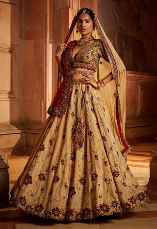 Nitika Gujral-Gold Tissue Lehenga Choli Set-INDIASPOPUP.COM
