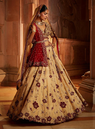 Nitika Gujral-Gold Tissue Lehenga Choli Set-INDIASPOPUP.COM