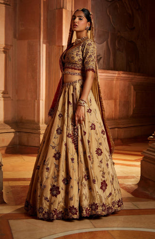 Nitika Gujral-Gold Tissue Lehenga Choli Set-INDIASPOPUP.COM
