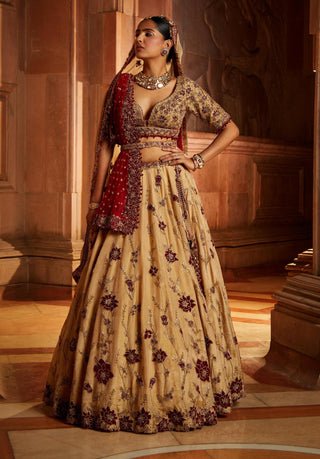 Nitika Gujral-Gold Tissue Lehenga Choli Set-INDIASPOPUP.COM