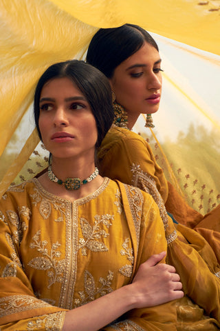Rar Studio-Mustard Embroidered Sharara Set-INDIASPOPUP.COM
