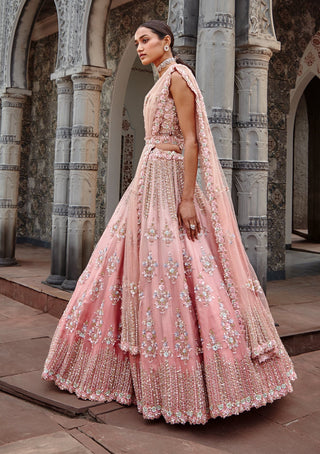 Nitika Gujral-Rose Ombrey Organza Lehenga Set-INDIASPOPUP.COM