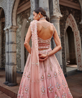 Nitika Gujral-Rose Ombrey Organza Lehenga Set-INDIASPOPUP.COM