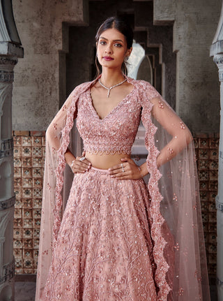Nitika Gujral-Dusty Coral Tulle Lehenga Set-INDIASPOPUP.COM