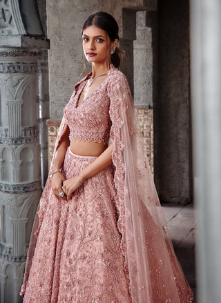 Nitika Gujral-Dusty Coral Tulle Lehenga Set-INDIASPOPUP.COM