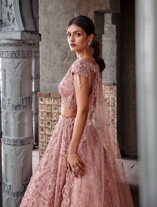Nitika Gujral-Dusty Coral Tulle Lehenga Set-INDIASPOPUP.COM