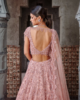 Nitika Gujral-Dusty Coral Tulle Lehenga Set-INDIASPOPUP.COM
