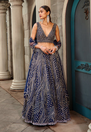 Nitika Gujral-Navy Blue Net Lehenga Set-INDIASPOPUP.COM