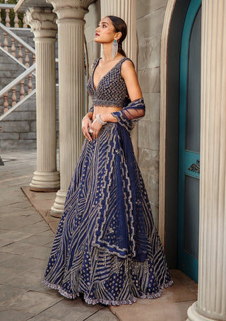 Nitika Gujral-Navy Blue Net Lehenga Set-INDIASPOPUP.COM