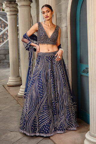 Nitika Gujral-Navy Blue Net Lehenga Set-INDIASPOPUP.COM