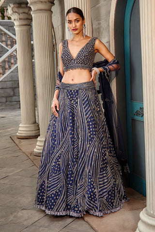 Nitika Gujral-Navy Blue Net Lehenga Set-INDIASPOPUP.COM