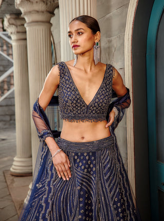 Nitika Gujral-Navy Blue Net Lehenga Set-INDIASPOPUP.COM