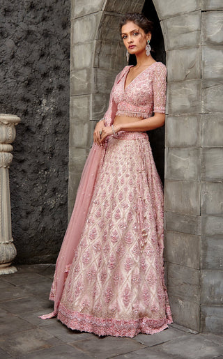 Nitika Gujral-Blush Tulle Lehenga Set-INDIASPOPUP.COM