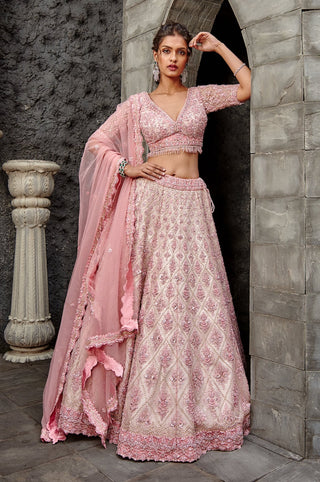 Nitika Gujral-Blush Tulle Lehenga Set-INDIASPOPUP.COM