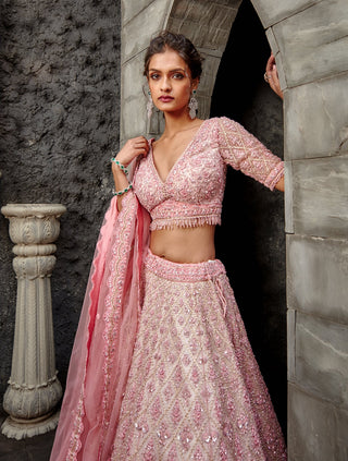 Nitika Gujral-Blush Tulle Lehenga Set-INDIASPOPUP.COM