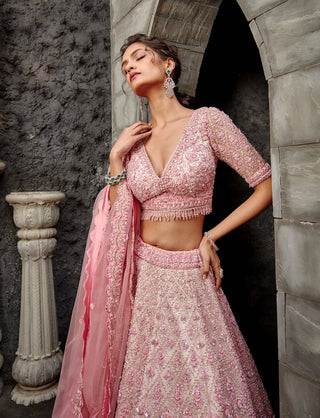 Nitika Gujral-Blush Tulle Lehenga Set-INDIASPOPUP.COM
