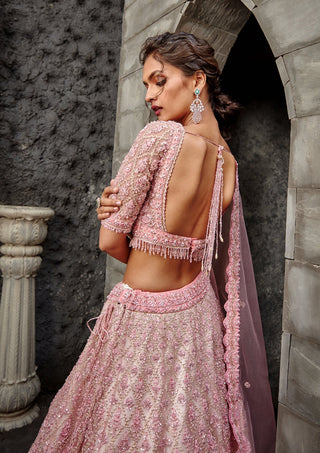 Nitika Gujral-Blush Tulle Lehenga Set-INDIASPOPUP.COM
