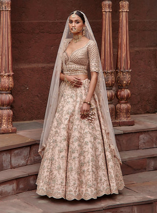 Nitika Gujral-Blush Pink Raw Silk Lehenga Set-INDIASPOPUP.COM