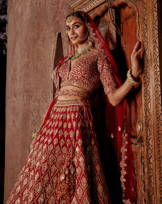 Nitika Gujral-Deep Red Raw Silk Lehenga Set-INDIASPOPUP.COM