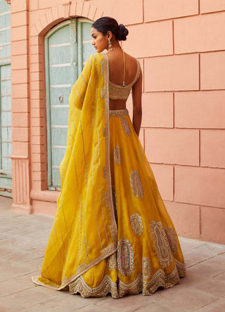 Osaa By Adarsh-Honey Gold Embroidered Lehenga Set-INDIASPOPUP.COM