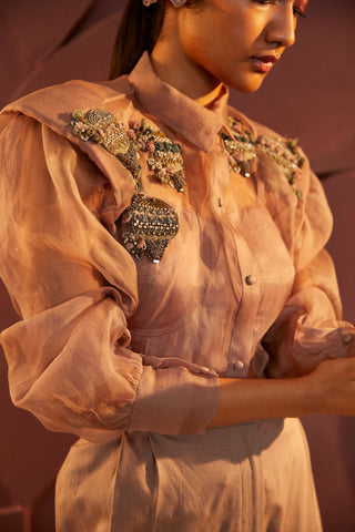 Parul And Preyanka-Dusty Rose Organza Shirt And Pant Set-INDIASPOPUP.COM