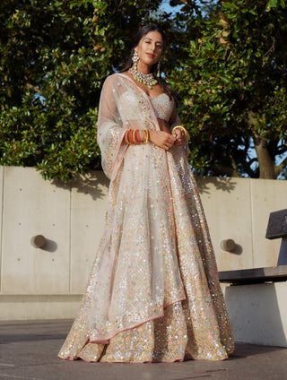 Ivory Net Lehenga Set