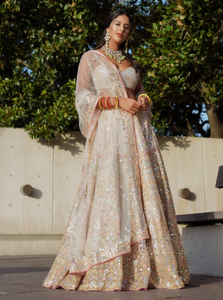 Ivory Net Lehenga Set