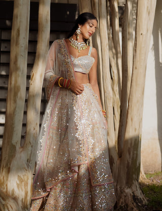 Ivory Net Lehenga Set