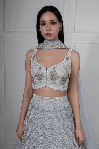 Ritika Mirchandani-Grey Gold Embroidered Lehenga Set-INDIASPOPUP.COM