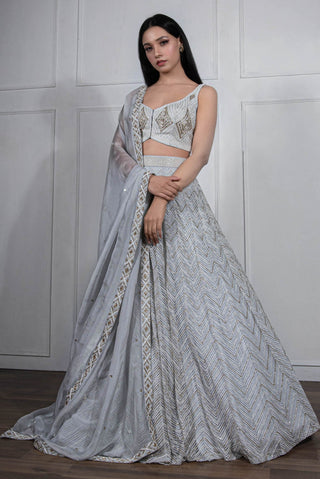 Ritika Mirchandani-Grey Gold Embroidered Lehenga Set-INDIASPOPUP.COM
