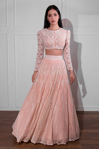 Ritika Mirchandani-Ivory Pink Embroidered Lehenga Set-INDIASPOPUP.COM