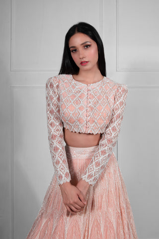 Ritika Mirchandani-Ivory Pink Embroidered Lehenga Set-INDIASPOPUP.COM