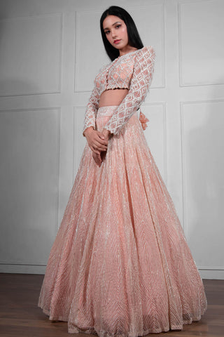 Ritika Mirchandani-Ivory Pink Embroidered Lehenga Set-INDIASPOPUP.COM