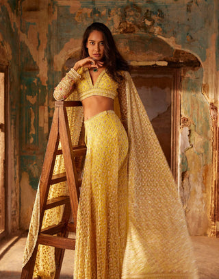 Ridhi Mehra-Amal Yellow Sari Skirt Set-INDIASPOPUP.COM