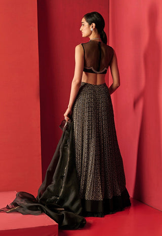 Ridhi Mehra-Black Blouse With Skirt-INDIASPOPUP.COM