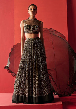 Ridhi Mehra-Black Blouse With Skirt-INDIASPOPUP.COM