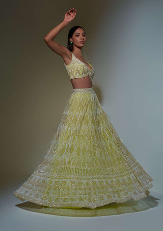 Ritika Mirchandani-Lime Green Embroidered Lehenga Set-INDIASPOPUP.COM
