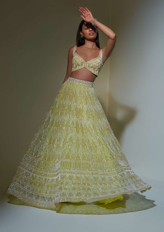 Ritika Mirchandani-Lime Green Embroidered Lehenga Set-INDIASPOPUP.COM