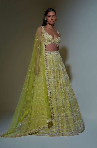 Ritika Mirchandani-Lime Green Embroidered Lehenga Set-INDIASPOPUP.COM