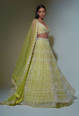 Ritika Mirchandani-Lime Green Embroidered Lehenga Set-INDIASPOPUP.COM
