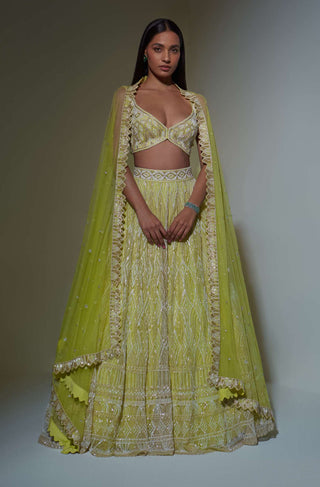 Ritika Mirchandani-Lime Green Embroidered Lehenga Set-INDIASPOPUP.COM
