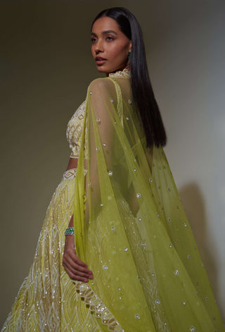 Ritika Mirchandani-Lime Green Embroidered Lehenga Set-INDIASPOPUP.COM