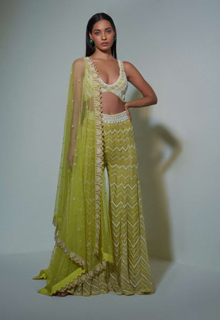 Ritika Mirchandani-Lime Green Sharara With Bustier And Dupatta-INDIASPOPUP.COM