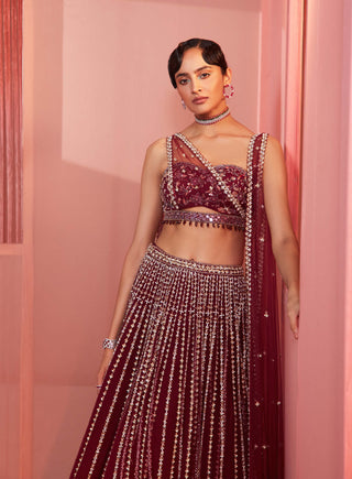 Sanya Gulati-Plum Embroidered Lehenga And Blouse With Double Dupatta-INDIASPOPUP.COM